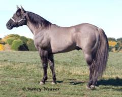 Sire